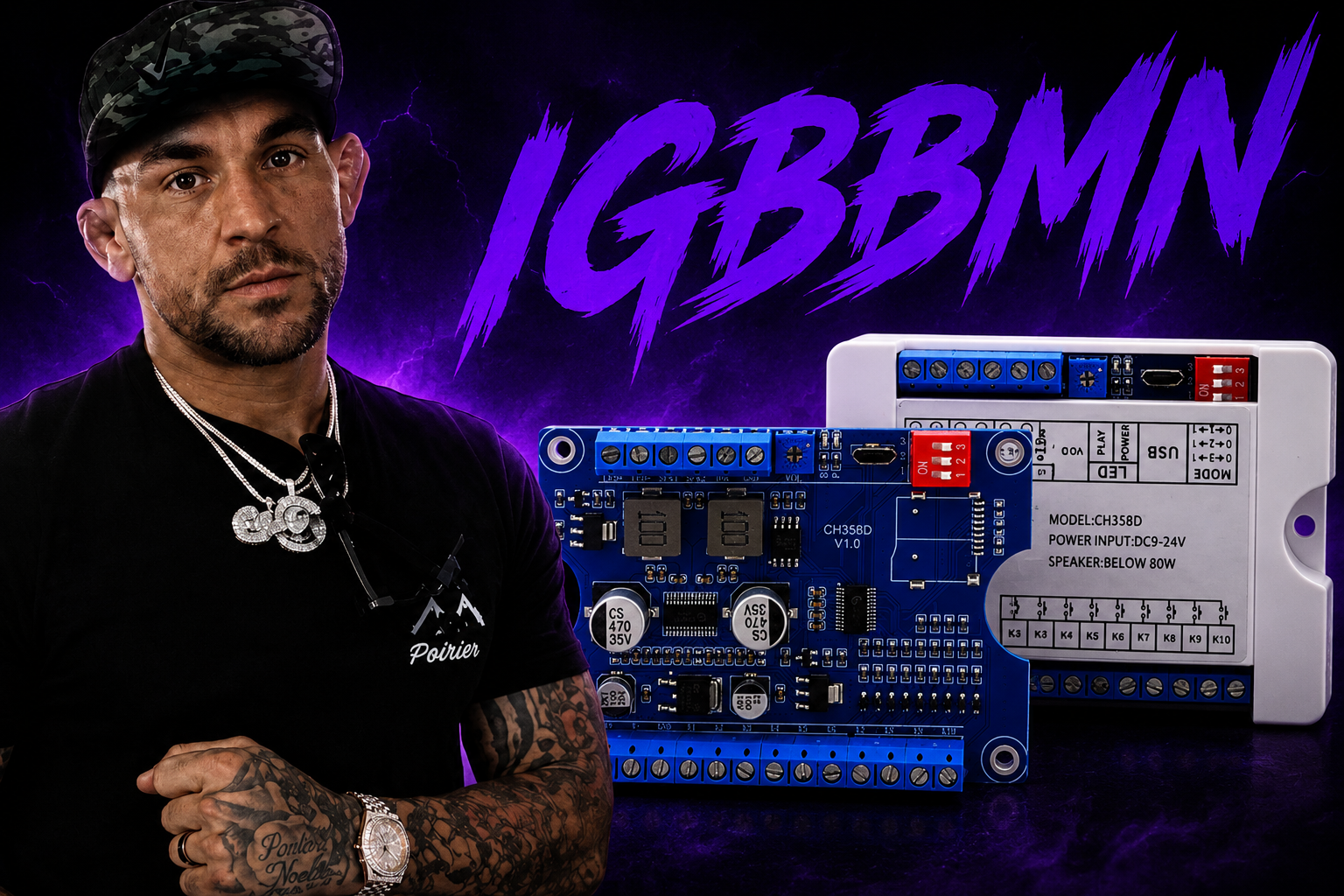 IGBBMN Horn chip